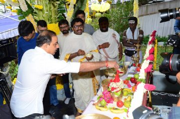 Valmiki Movie Opening Stills